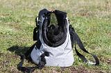 SAC - CARRY BAG 007